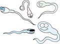 Funny spermatozoids