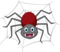 Funny spider cartoon