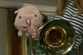 Funny Spider pig playing the trombone . Stuff animal placed in front of metal wind instrument . Fluffy and fat spider piggy . Royalty Free Stock Photo