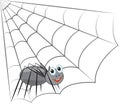 Funny spider on the web