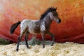 Funny spotted Falabella pony in dark stable Royalty Free Stock Photo