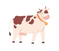 Funny spotty cow with bell on neck. Farm milk animal with udder. Childish flat vector illustration isolated on white