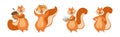 Funny Squirrel Animal with Bushy Tail Engaged in Different Activity Vector Set