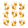 Funny squirrel cartoon character set, cute forest animal with different actions and emotions vector Illustrations Royalty Free Stock Photo