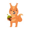 Funny Squirrel Character with Bushy Tail Holding Acorn and Smiling Vector Illustration Royalty Free Stock Photo