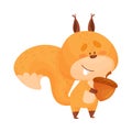 Funny Squirrel Character Holding Favorite Acorn in Its Paws Vector Illustration Royalty Free Stock Photo