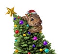 Funny Squirrel Christmas Tree