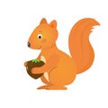 Funny squirrel with hazelnut