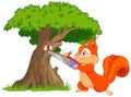 Funny squirrel saws tree branch