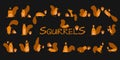 Funny squirrels with nut, collection for your design