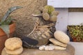 Old mountain boot, turned into a pot, Ambel, Spain Royalty Free Stock Photo