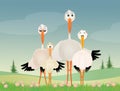 Funny storks family