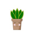 Funny succulent plant. Stickers with sansevieria home plants in pots with cute face. Design elements for social networks, fashion