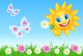Funny summer sun with daisy and meadow flowers and butterflies Royalty Free Stock Photo
