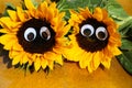 Funny sunflowers with wobbly eyes