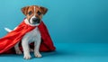 Funny superhero puppy in costume flying in empty space, isolated on blue background