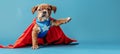 Funny superhero puppy in costume flying, isolated on blue background with space ahead