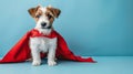 Funny superhero puppy in costume looking away on pastel background with copy space