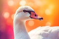 Funny swan in studio, colorful background. Generative AI