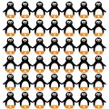 Funny and sweet penguin set vector