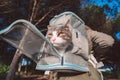 Funny tabby cat looking out from backpack carrier. Backpack for carrying animals Royalty Free Stock Photo