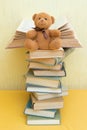 Funny teddy bear with books