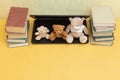 Funny teddy bears with books and laptop, copy space