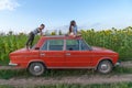 Funny teen children in casual clothes playing together on the red retro car among the sunflowers field, girl sitting on Royalty Free Stock Photo