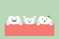 Funny teeth family