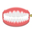 Funny teeth joke Royalty Free Stock Photo