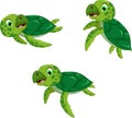 Funny three turtle cartoon