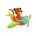 Funny tiger flying on multi-colored airplane. Cartoon orange wild animal with black stripes. Flat vector design for