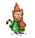 Funny tiger in hat, coat and scarf