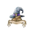 Funny toad or frog in witch hat. Hand drawn watercolor illustration. Funny peeking out frog in wizard hat. Single front