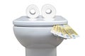 Funny toilet bowl with eyes in the form of toilet paper eating money in euros, isolated on a white background