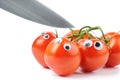 Funny tomatoes with googly eyes