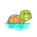 Funny Tortoise Turtle Swimming Exotic Reptile Water Cartoon