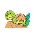 Funny Tortoise Turtle Walking Climbing Rock Exotic Reptile Cartoon