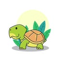 Funny Tortoise Turtle Walking Exotic Reptile Plant Cartoon