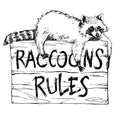 Funny and touching raccoon lies on a plate raccoons rules hand drawn engrave sketch vector illustration Royalty Free Stock Photo