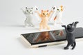 Funny toy cats advertise white wireless tws headphones next to mobile phones. copyspace. Photo