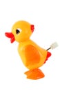 Funny toy clockwork duck