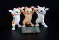 Funny toy dancing kittens with raised paws next to a modern powerful computer processor on a black background. Computer assembly. Royalty Free Stock Photo