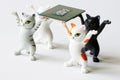 Funny toy kittens carry a modern multi-core computer processor. Assembling, overclocking and upgrading a computer. Delivery of Royalty Free Stock Photo