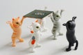 Funny toy kittens have raised a modern powerful computer processor. Assembling, overclocking and upgrading a computer. Delivery of