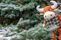 A funny toy orange Bull looks out against the background of a snow covered Christmas tree in the park. The symbol of the new year