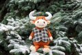 A funny toy orange Bull sits on a snow-covered Christmas tree in the park. Symbol of new year 2021, beautiful bull with big horns