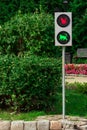 Funny traffic light for cats