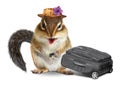 Funny traveler, animal chipmunk with suitcase on white