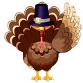 Thanksgiving Turkey Funny Cartoon Character Vector Illustration